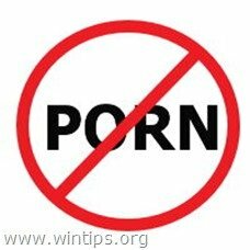 BLOQUEAR CONTENIDO PORNOGRÁFICO PORNO