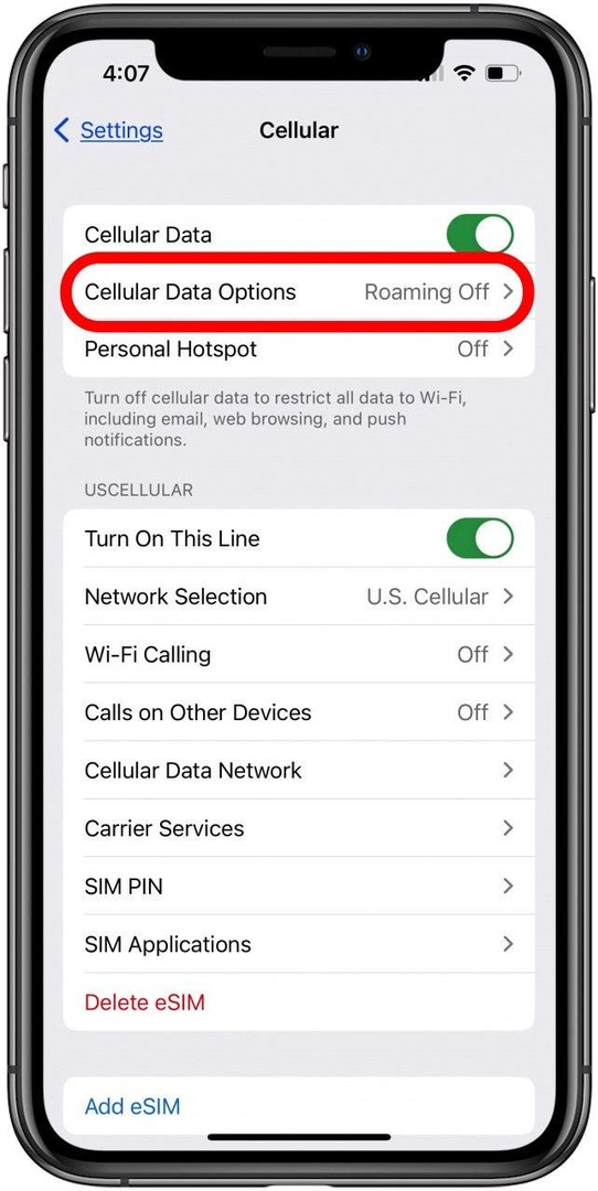 toque las opciones de datos móviles para arreglar el correo de voz del iPhone