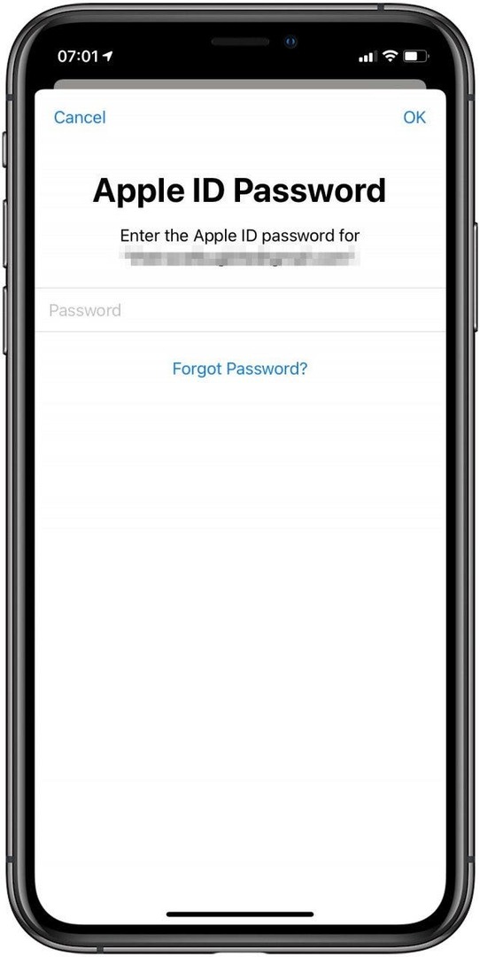 Conferma inserendo nuovamente la password dell'ID Apple