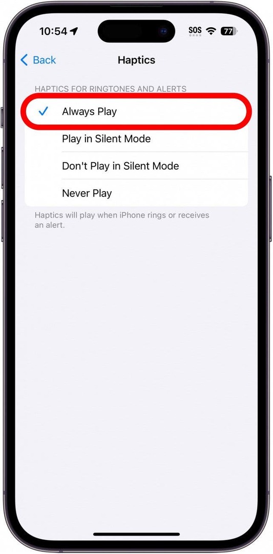 항상 재생되는 iPhone 햅틱 설정은 빨간색 원으로 표시됩니다.
