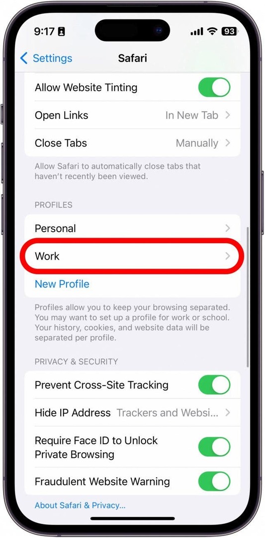 настройки iPhone Safari с рабочим профилем, обведенным красным