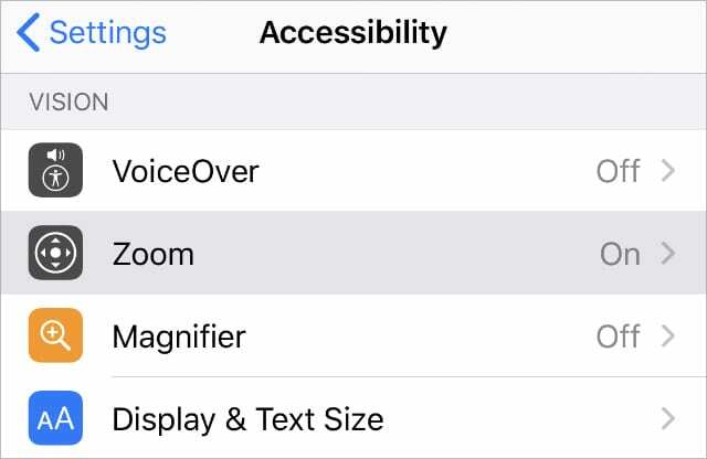 Fonctionnalité de zoom d'accessibilité dans les paramètres de l'iPhone