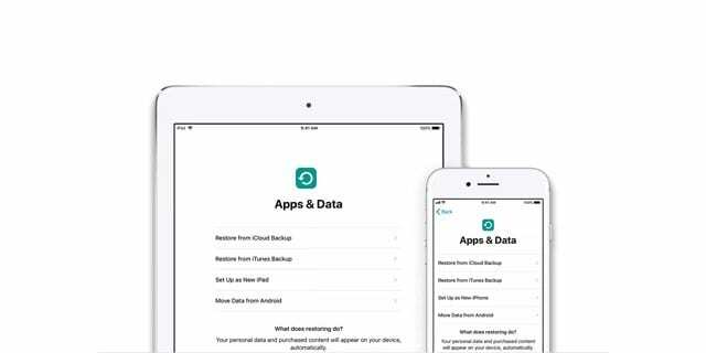 Opciones de dispositivo de configuración de iPhone y iPad