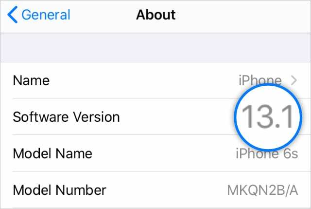 ซอฟต์แวร์เวอร์ชัน 13.1 ในการตั้งค่า iPhone