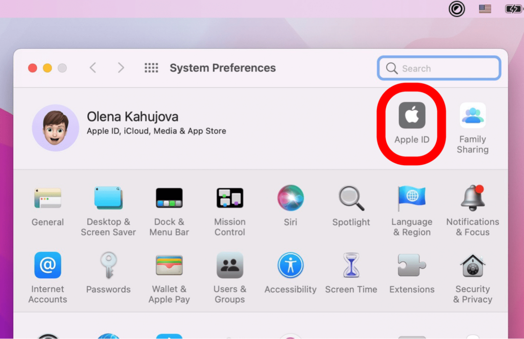 Apple uporabniško ime