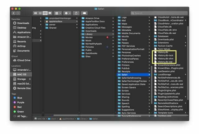 vēstures faili operētājsistēmā Safari Library Mac