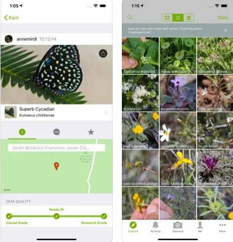 Le migliori app di giardinaggio iNaturalist