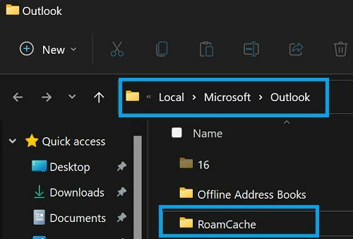 Outlook-RoamCache-folder