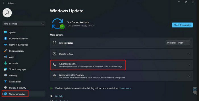 Gelişmiş seçenekler Windows güncellemesi