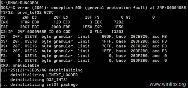 RETNING: DOS4G-fejl (2001) undtagelse 0Dh