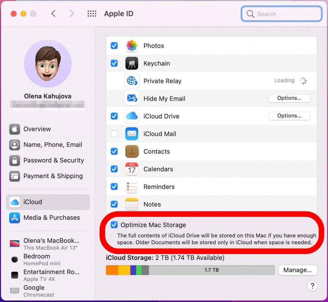 Selecione Otimizar o armazenamento do Mac - como fazer backup no icloud