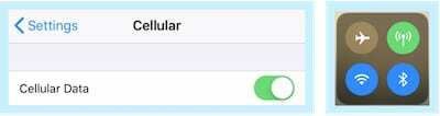 यदि आपका iPhone सेलुलर डेटा काम नहीं कर रहा है, तो इन बटनों को चालू करें।