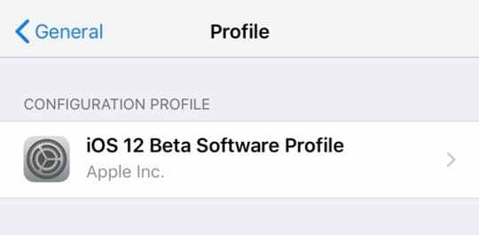 iOS beta nainštalovaný na novom iPhone prostredníctvom všeobecných profilov