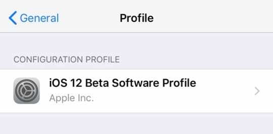 iOS beta diinstal pada iPhone baru melalui profil umum