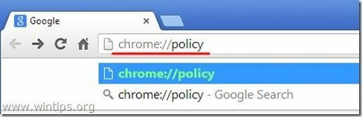 Chrome-Richtlinie