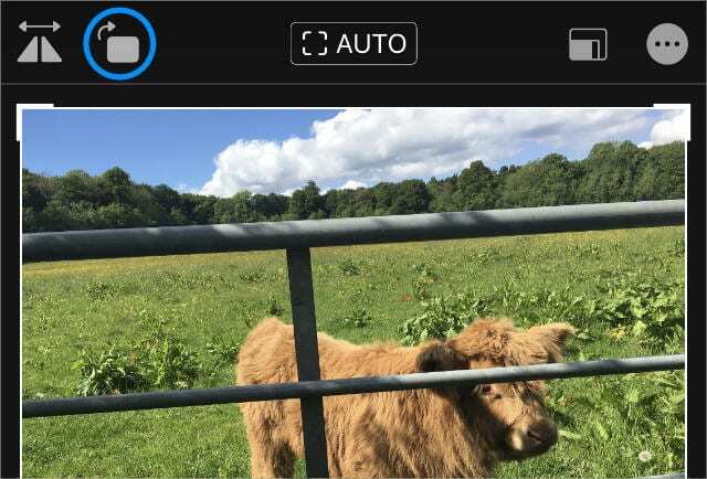 Faire pivoter le bouton dans l'application Photos sur iPhone