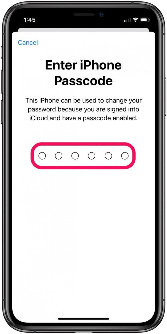 Geben Sie den iPhone-Passcode ein