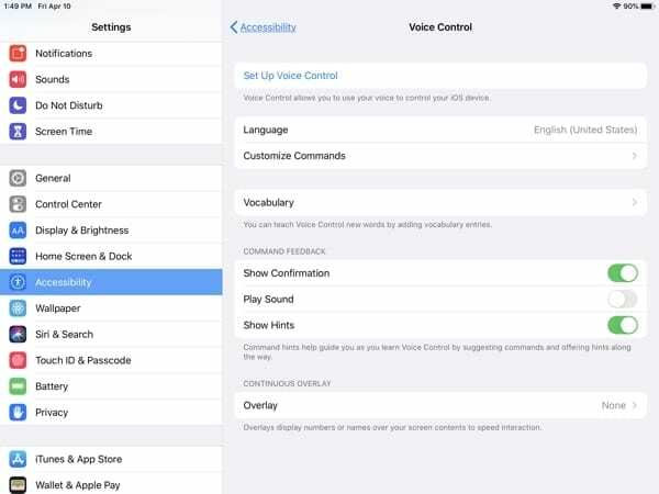 आईपैड एक्सेसिबिलिटी-वॉयस कंट्रोल