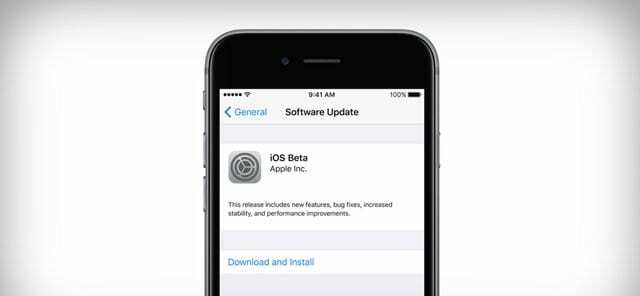 installer iOS beta fra iPhone-innstillinger 