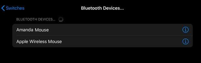 ब्लूटूथ स्विच iPadOS डिवाइस को नियंत्रित करता है