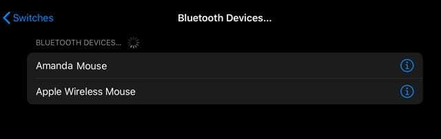 Bluetooth-schakelaarbediening iPadOS-apparaten