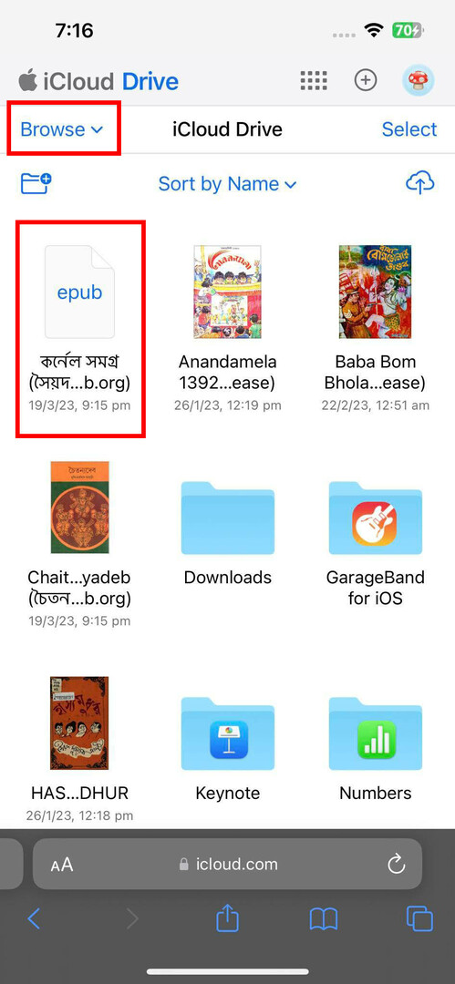 iCloud ड्राइव ब्राउज़र फ़ोल्डर