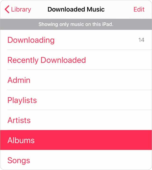 iPad पर डाउनलोड किया गया संगीत लाइब्रेरी मेनू