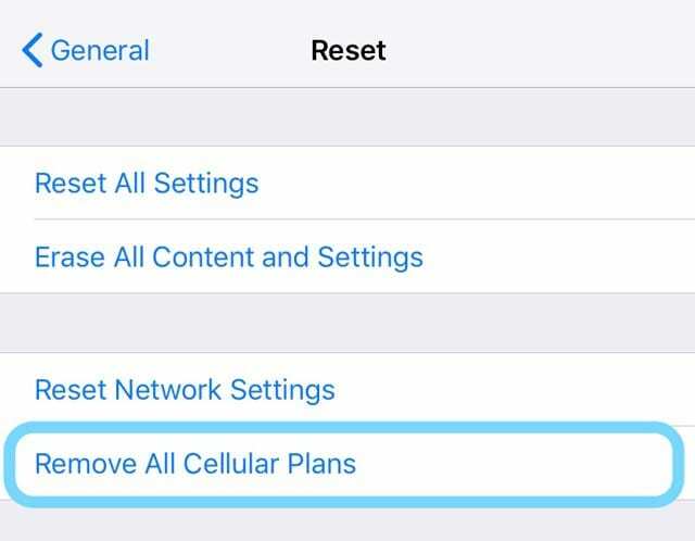 pašalinti visus mobiliojo ryšio planus iš iPhone