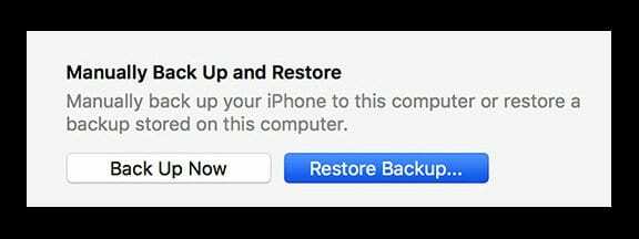 Ripristina backup utilizzando iTunes