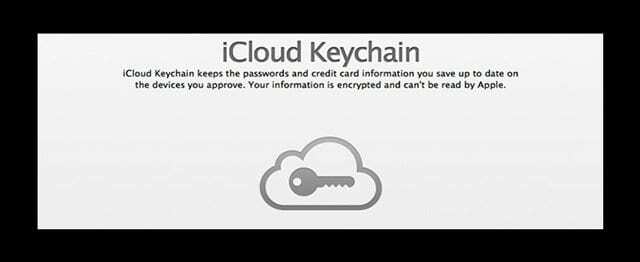 iCloud 키체인은 암호를 저장합니다.