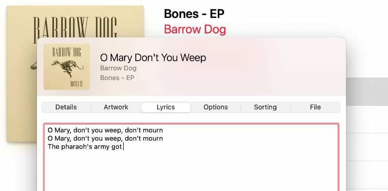 Pielāgotu dziesmu tekstu pievienošana dziesmai pakalpojumā Apple Music
