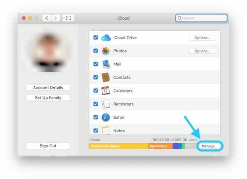 Screenshot der Seite iCloud-Systemeinstellungen mit Hervorhebung der Option Verwalten... Taste