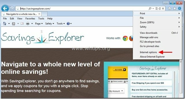 noņemt ietaupījumu pārlūku Internet Explorer