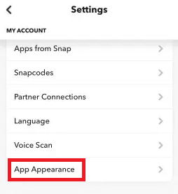Aussehen der Snapchat-App