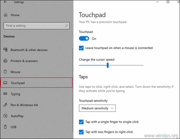 Επιλογές TouchPad Windows 10