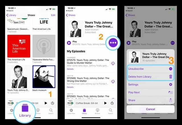 iOS 11'de Podcast Uygulamasını Özelleştirme ve Kullanma