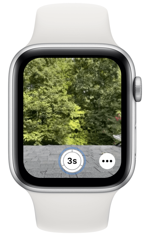 Deretter dobbeltklyper du med hånden som har på seg Apple Watch for å ta bildet.