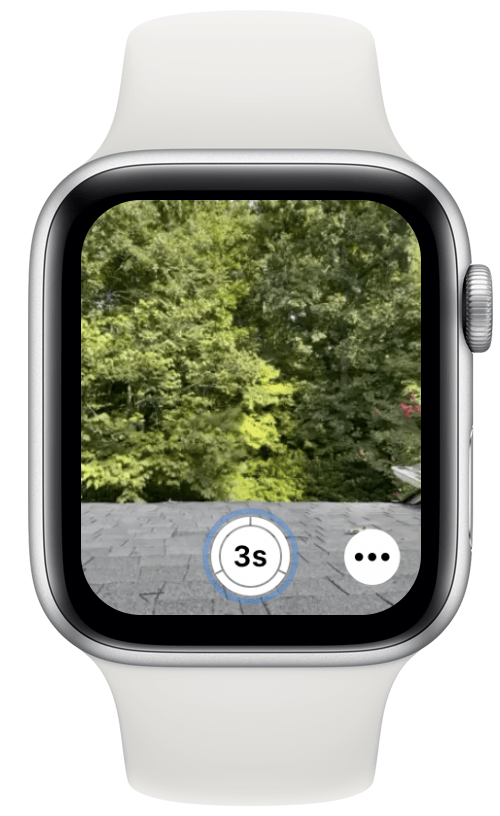 Purista sitten kädellä, jossa Apple Watch on päällä, ottaaksesi kuvan.