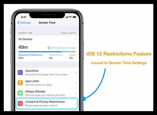 Habilitación de restricciones en iPad