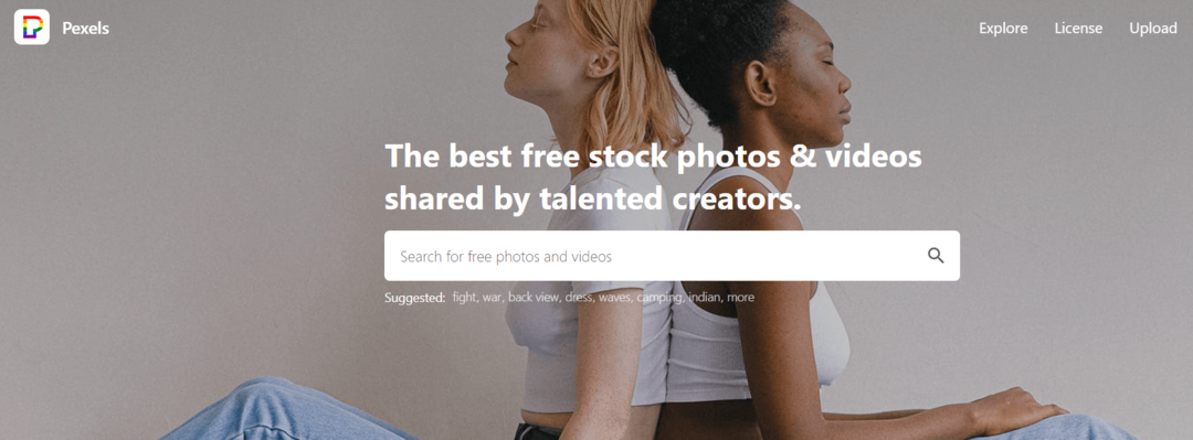 Pexels – Stock-Foto-Website