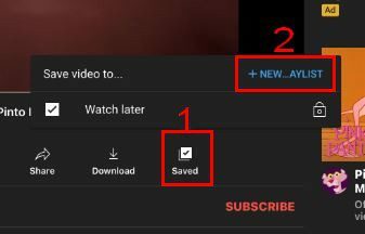 Išsaugokite vaizdo įrašą „YouTube“.