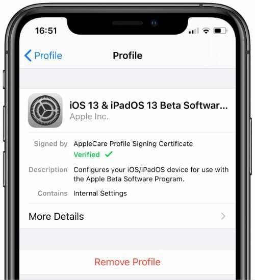 Pengaturan profil iPhone dengan opsi untuk menghapusnya