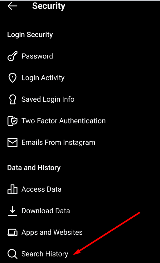 histórico de pesquisa de segurança instagram