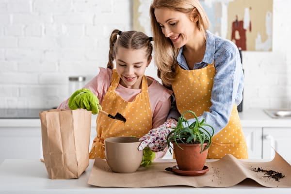 Razones para usar las mejores aplicaciones de jardinería