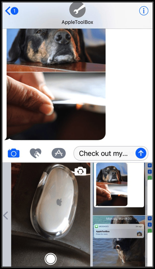Hogyan mentheti el az iMessage-képeket fotóként az iPhone-on