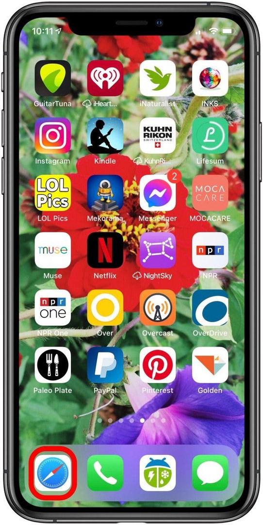 aplicativo safari no iphone e ipad