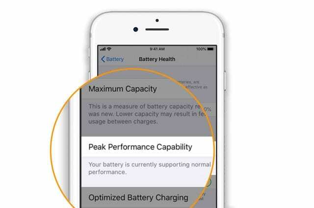 prestazioni di picco normali per la batteria dell'iPhone