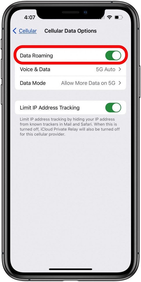 ative o roaming de dados para corrigir o correio de voz do iphone