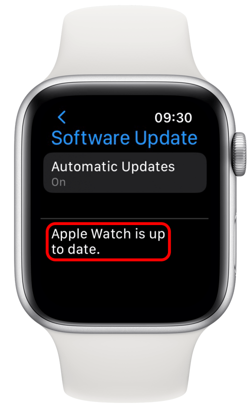 Apple Watch를 최신 watchOS로 업데이트