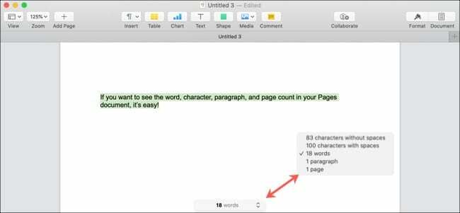 Lehekülgede Sõnade arv Valitud tekst-Mac